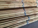 Bambusové tyče hrubé - různé průměry