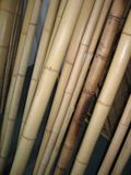 Bambusové tyče hrubé - různé průměry
