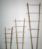 Bambusový rám dvojitý S/2